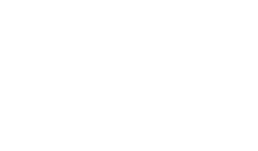 LOGO TRASNSERCO